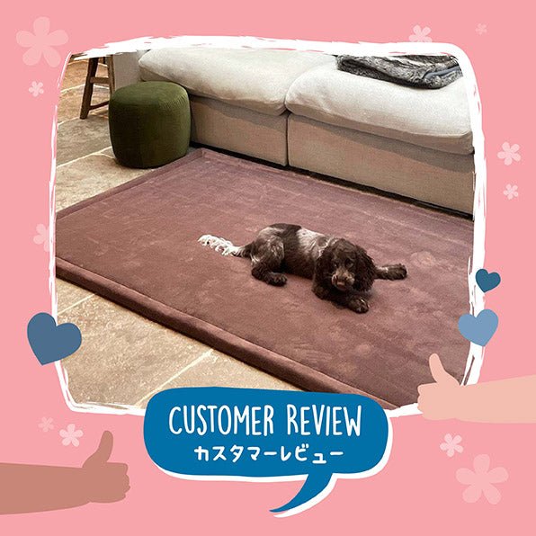 Introducing the Momomi Soft Touch Tatami Mat – with its quick-dry design, it's a breeze to clean - Momomi