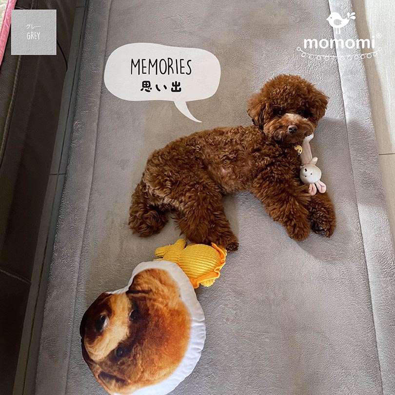 Memories - Momomi