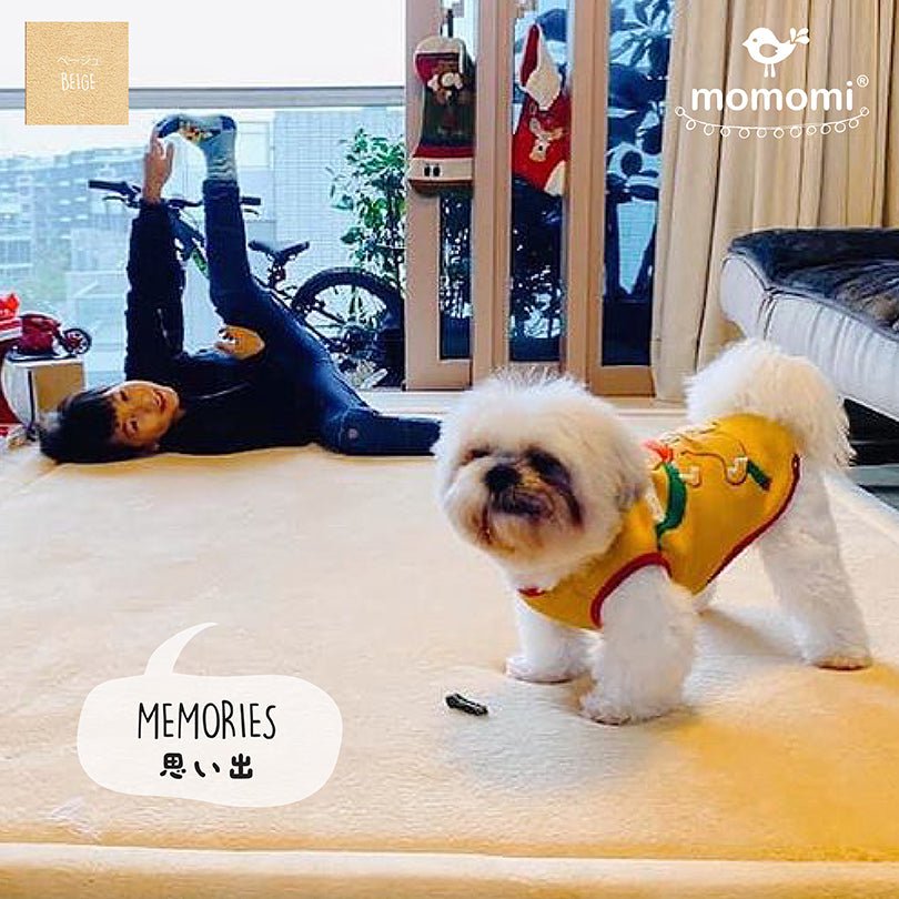 Memories - Momomi